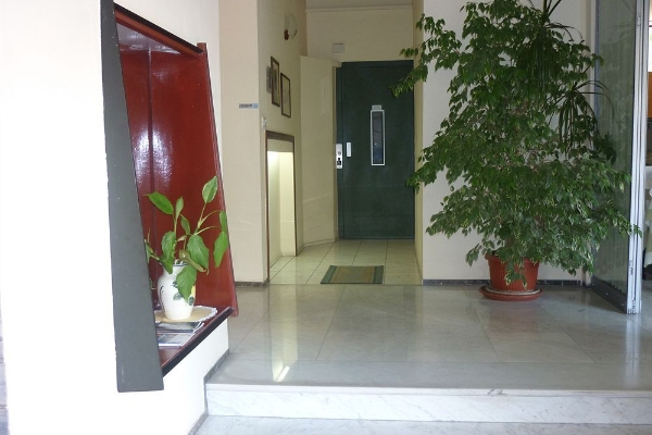 Hotel Albergo dei Pini